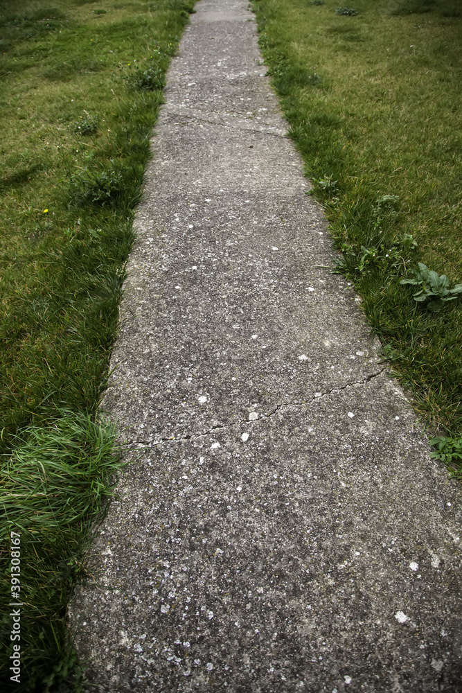 Stone path grass