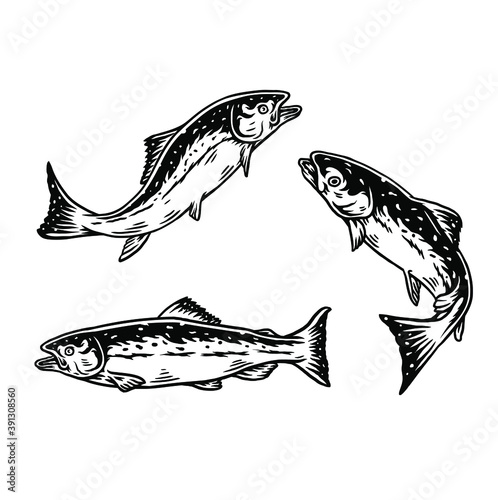 Set of salmon, isolated on white background