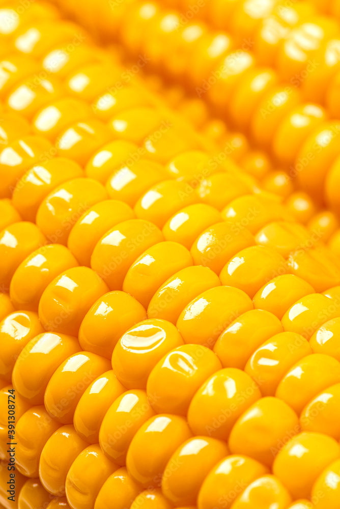 Corn background or texture. Ripe golden ear of corn close up. Selective focus. Corn background or texture. Ripe golden ear of corn close up. Selective focus.