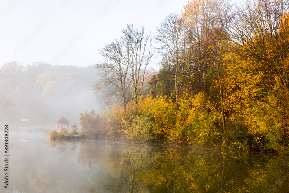 Beautiful landscape with lake and forest. Amazing nature wallpaper. Autumn trees in foggy morning. Romantic place. Beautiful landscape with lake and forest. Amazing nature wallpaper. Autumn trees in foggy morning. Romantic place.
