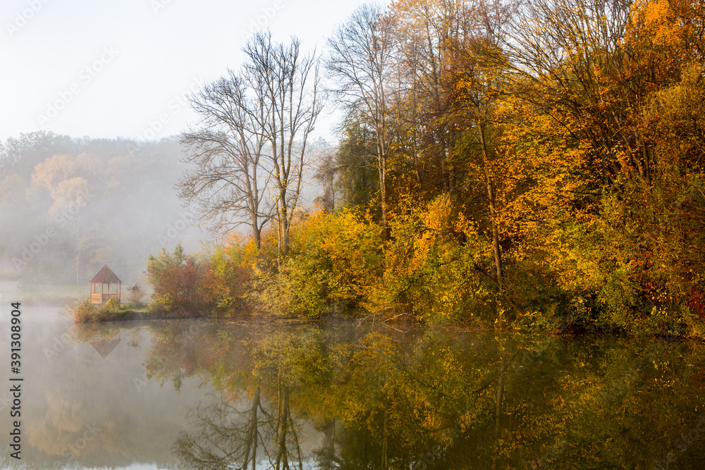 Obraz premium Beautiful landscape with lake and forest. Amazing nature wallpaper. Autumn trees in foggy morning. Romantic place. 