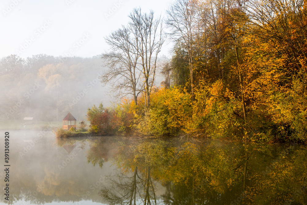 Fototapeta premium Beautiful landscape with lake and forest. Amazing nature wallpaper. Autumn trees in foggy morning. Romantic place. 