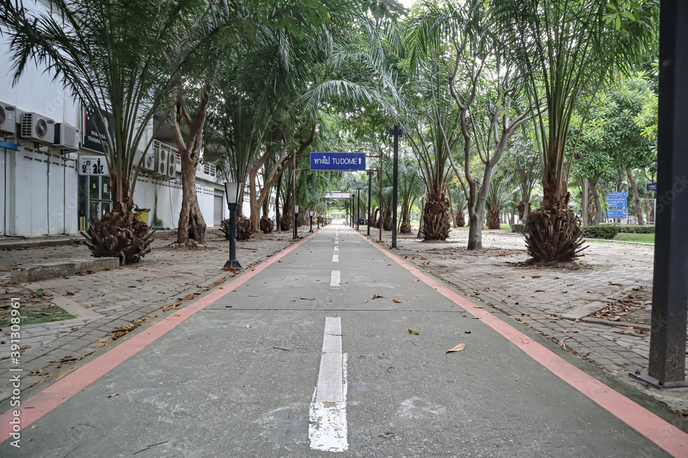 Road under the shade of trees in Thammasat University in Thailand.
