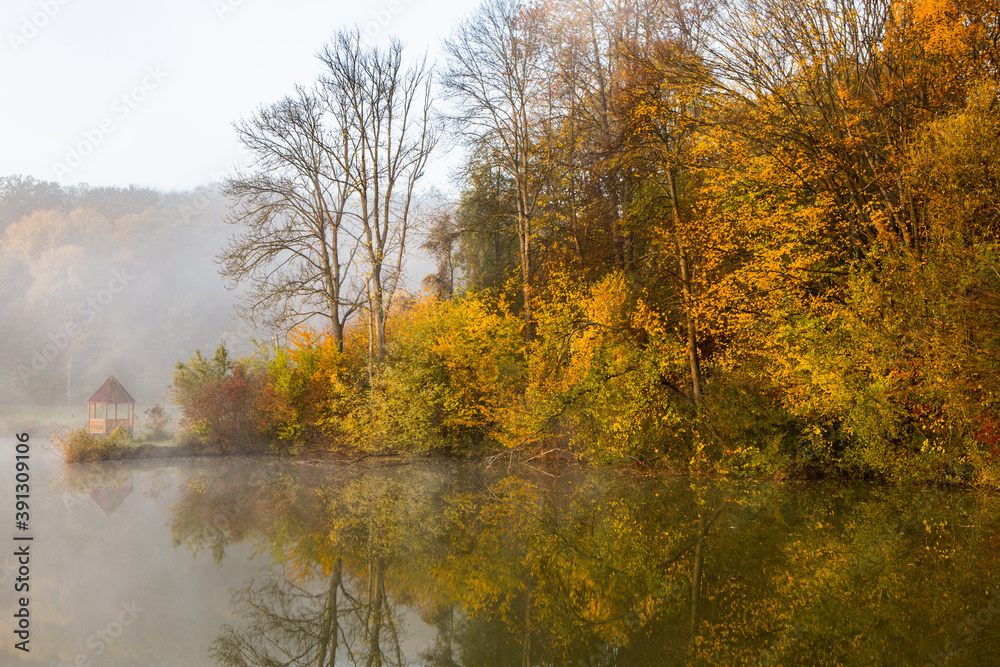 Beautiful landscape with lake and forest. Amazing nature wallpaper. Autumn trees in foggy morning. Romantic place. 