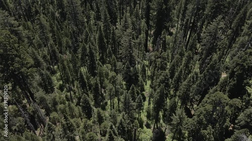 National Sequoia State Park