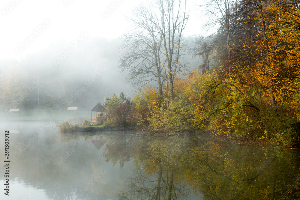 Beautiful landscape with lake and forest. Amazing nature wallpaper. Autumn trees in foggy morning. Romantic place. Beautiful landscape with lake and forest. Amazing nature wallpaper. Autumn trees in foggy morning. Romantic place.