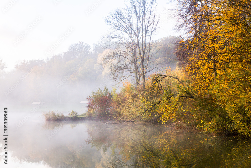 Fototapeta premium Beautiful landscape with lake and forest. Amazing nature wallpaper. Autumn trees in foggy morning. Romantic place. 
