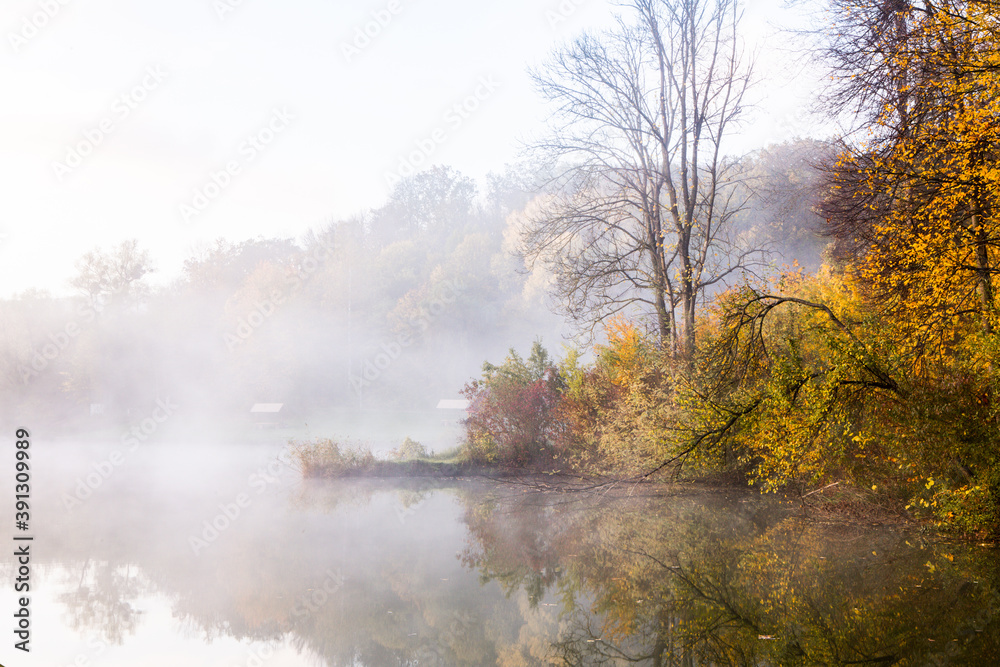 custom made wallpaper toronto digitalBeautiful landscape with lake and forest. Amazing nature wallpaper. Autumn trees in foggy morning. Romantic place.