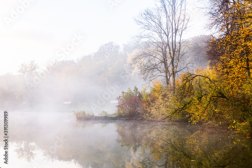 Wallpaper Mural Beautiful landscape with lake and forest. Amazing nature wallpaper. Autumn trees in foggy morning. Romantic place.  Torontodigital.ca