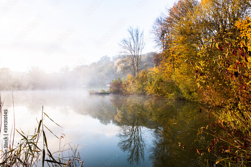 Fototapeta premium Beautiful landscape with lake and forest. Amazing nature wallpaper. Autumn trees in foggy morning. Romantic place.