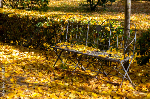 A lonely metal bench in a park full of fallen leaves in autumn awaits whoever sits on it