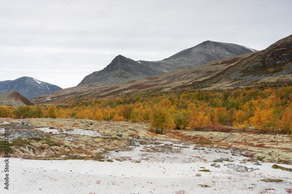Autumn in Dørålen, Rondane, Norway. Autumn in Dørålen, Rondane, Norway.