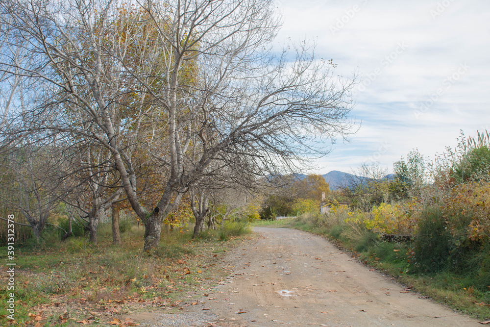 Mountain road and field in an autumn landscape Mountain road and field in an autumn landscape
