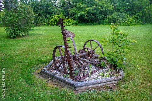 2051 - Farm Yard Art I photo