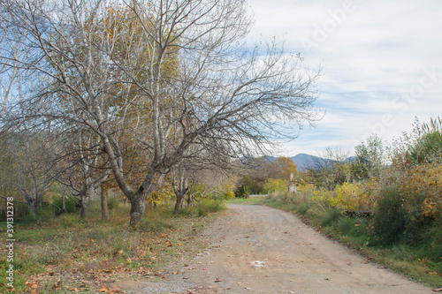 Mountain road and field in an autumn landscape