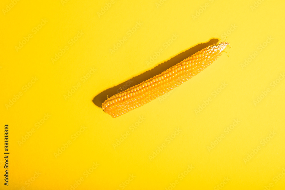 Obraz premium dry corn on a yellow background.