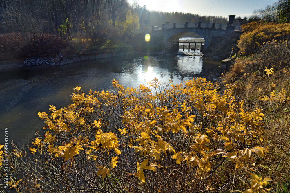 Beautiful natural landscape in autumn.