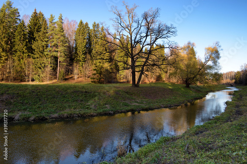 Obraz na płótnie Beautiful natural landscape in autumn. w salonie