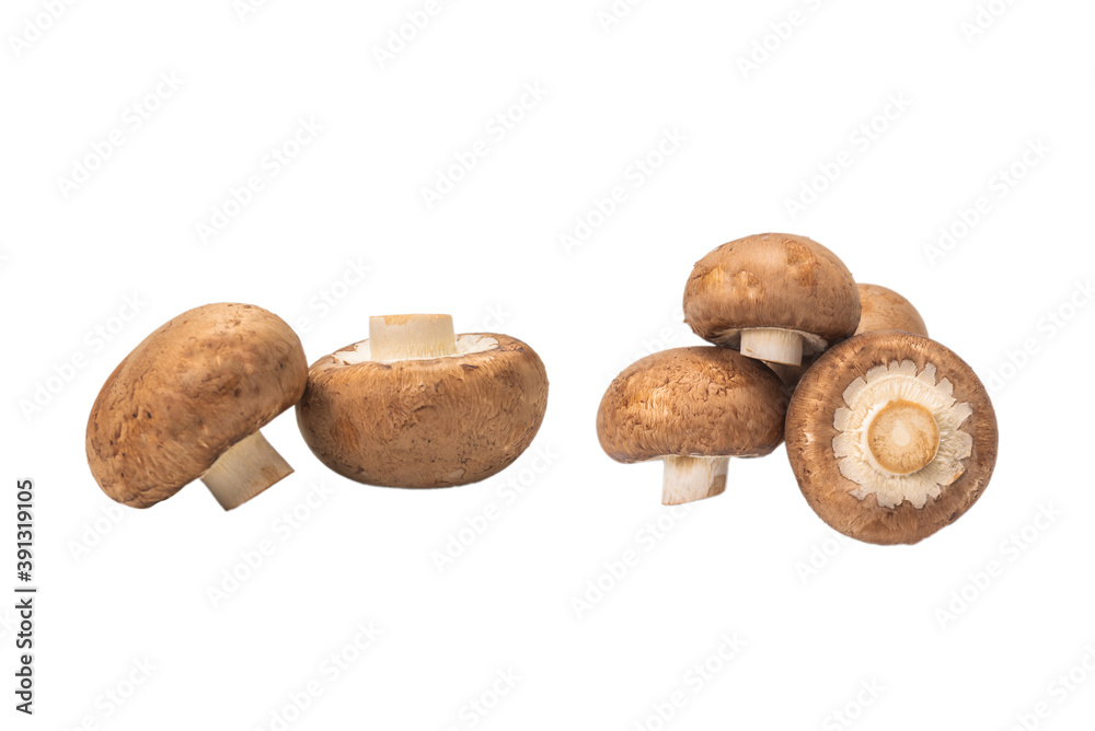 Tasty mushroom isolated on white background. Tasty mushroom isolated on white background.