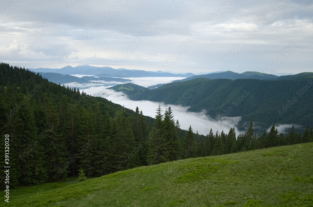 Clouds over the valley in mountains. Panoramic mountain view with horizon over land and green meadow on the foreground. Carpathian mountains, Ukraine.