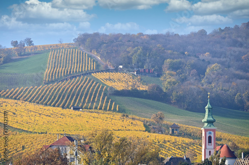 Photography Saint Georg church tower and  vineyards  Kahlenbergdorf landscape Vienna