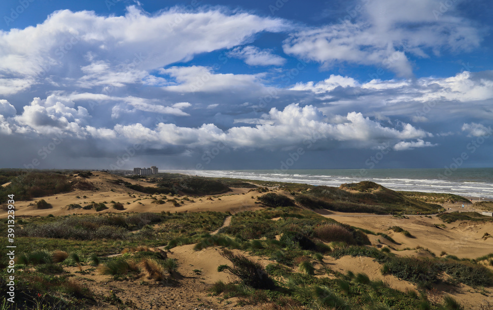 Dunes and clouds at Kijkduin in The Hague, Holland