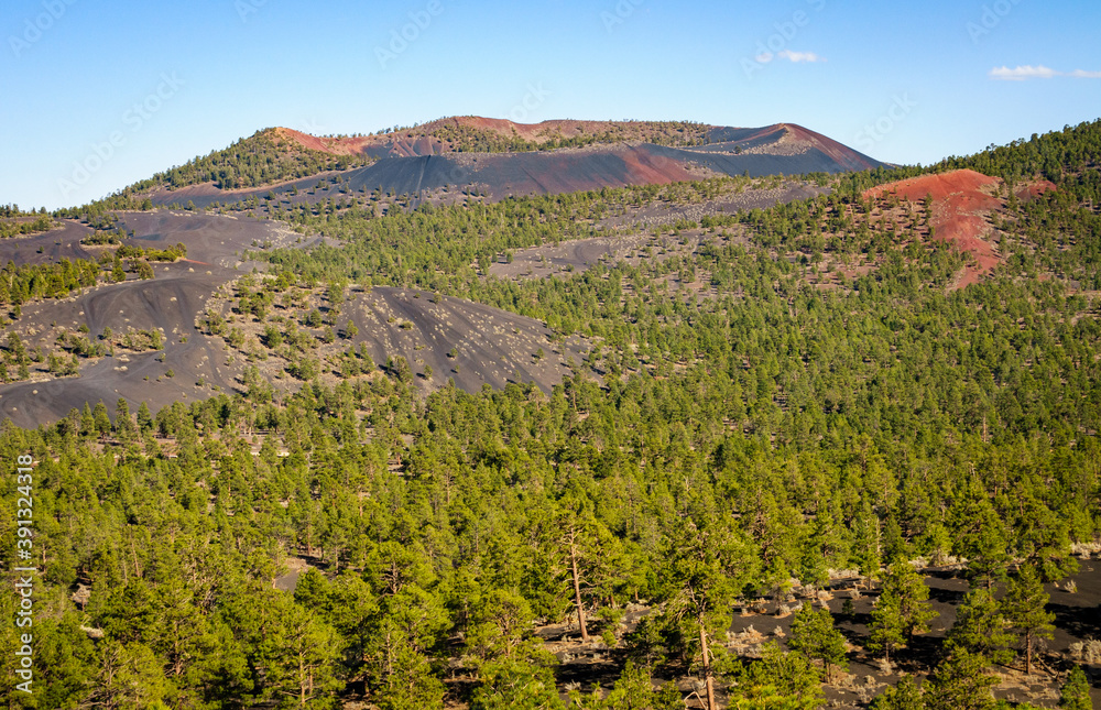 Red, Black, and Green at Sunset Crater National Monument