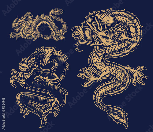 A set of black and white vector Asian dragons on dark background.