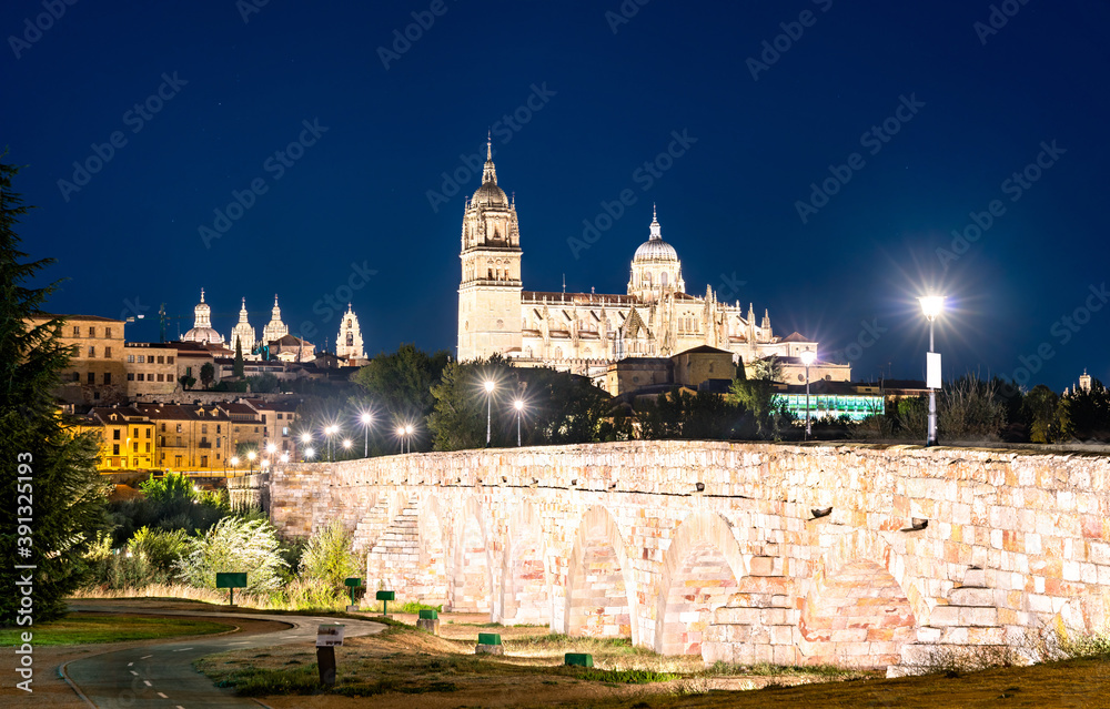 The New Cathedral and the Roman bridge in Salamanca - Castile and Leon, Spain