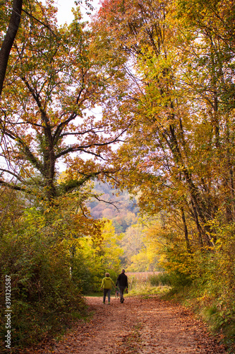 autumn landscape in the mountains 