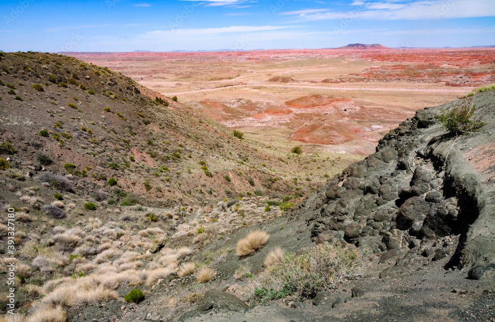 Overlook of the Rugged Landscape of Petrified Forest National Park