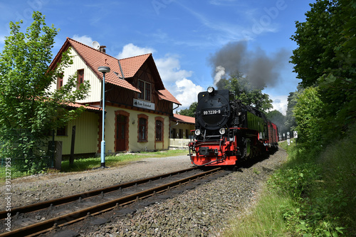 Schmalspurbahn am Bahnhof Güntersberge