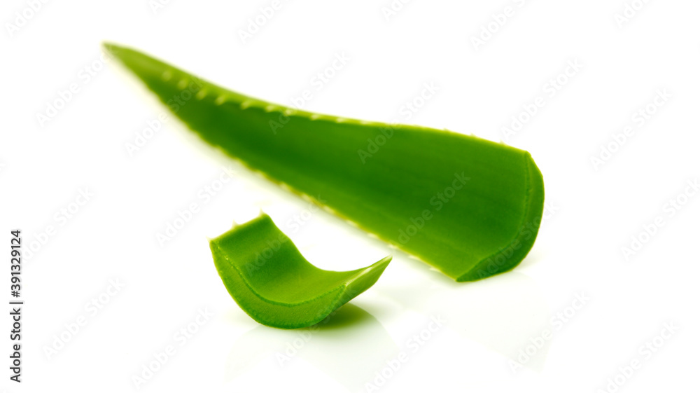 Fotografie Green leaf aloe vera with water drops