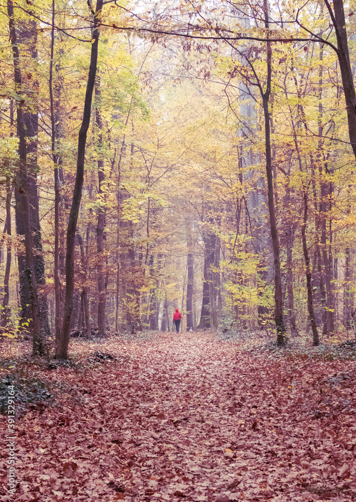 Photography of a girl walking in distance. Photography of a girl walking in distance.