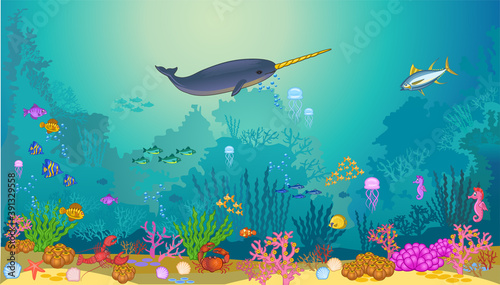 Fish swimming under the sea