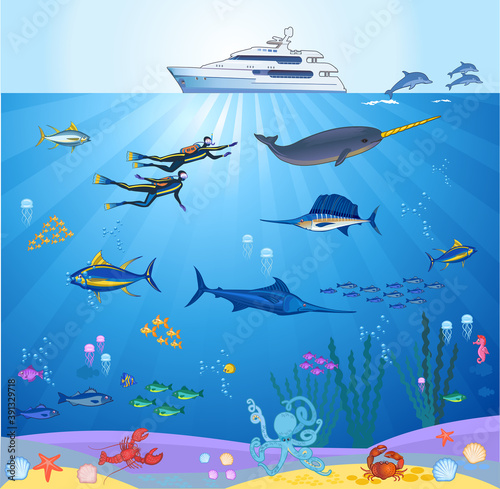 scuba diver and coral reef with fishes on a blue sea