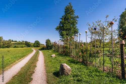 Beautiful hike on the Klosterweiher Weg near Salem photo