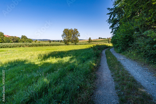 Fototapeta Naklejka Na Ścianę i Meble -  Beautiful hike on the Klosterweiher Weg near Salem