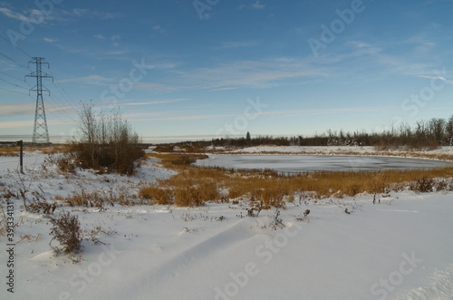 Wallpaper Mural Pylypow after a major Snowfall Torontodigital.ca
