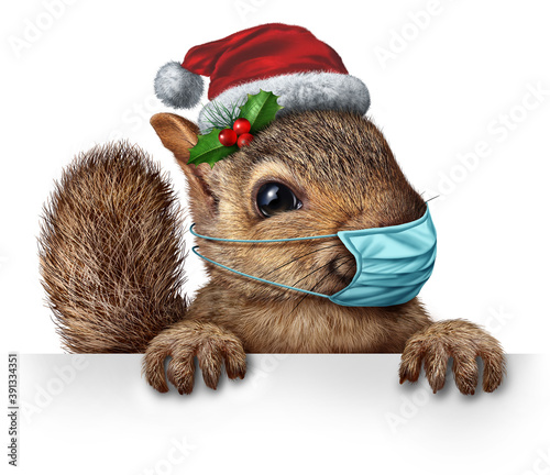 Healthy Holiday Squirrel