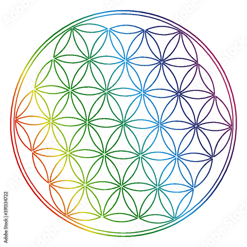 Flower of Life Colorful- Blume des Lebens Farbig- Fleure de Vie Coloré