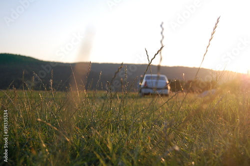 car in the grass
