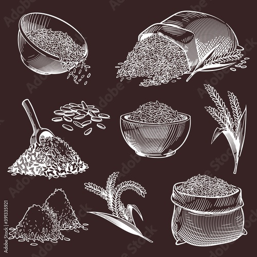 Hand drawn sketch rice. Vintage asian grains and ear, bowl with jasmine or basmati, pile of paddy, spoon and bag with seeds set in engraved style, cooking ingredient vector illustration