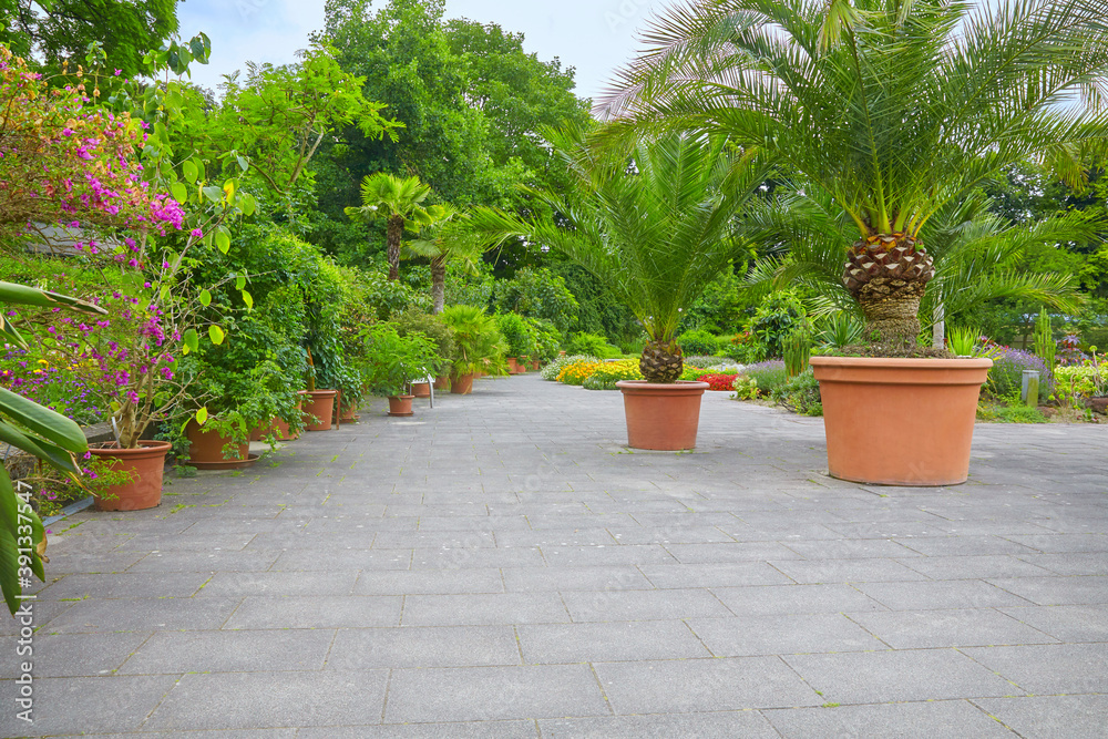 Nice park terrace with palm trees. Nice park terrace with palm trees.