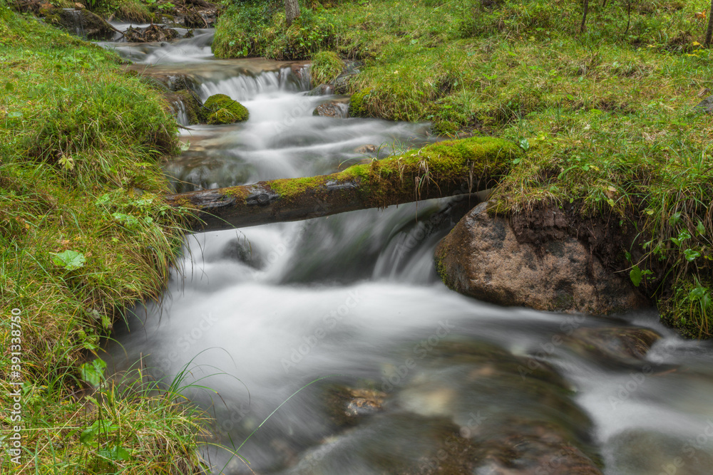 A mountain stream flows in the misty forest