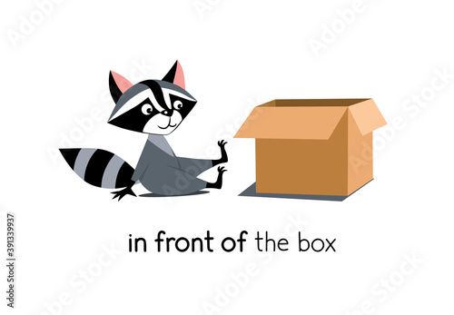 Preposition of place. Raccoon in front of the box