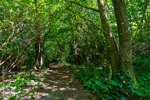 Beautiful hike on the Klosterweiher Weg near Salem
