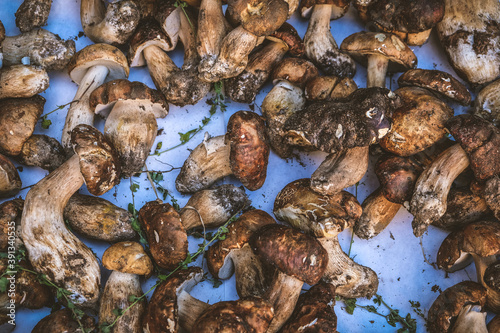 Mushroom presented on a market in Italy Tuscany