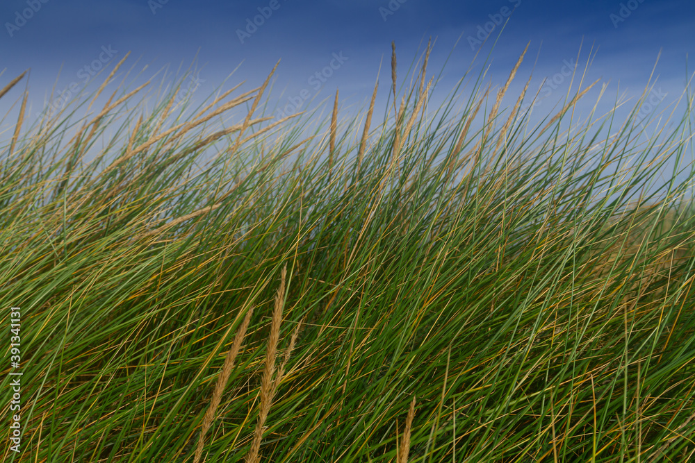 Abstract view of Holkam Beach, Norfolk,  from the Sand Dunes