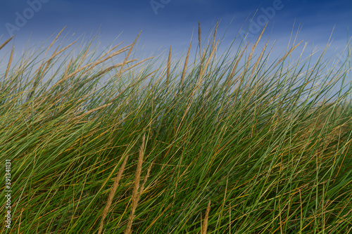 Abstract view of Holkam Beach  Norfolk   from the Sand Dunes